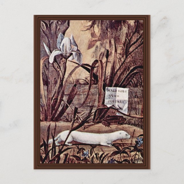 Cartão Postal Retrato De Cavaleiro De Carpaccio Vittore (Frente)