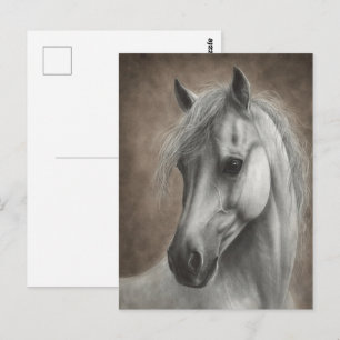 Cartão Postal Retrato de Cavalo Branco Pintado à Mão