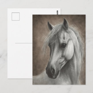 Cartão Postal Retrato de Cavalo Branco Pintado à Mão
