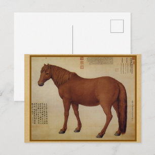 Cartão Postal Retrato de Cavalo Castanho - Arte Chinesa Fina Vin