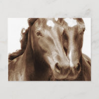 Retrato de Cavalo III