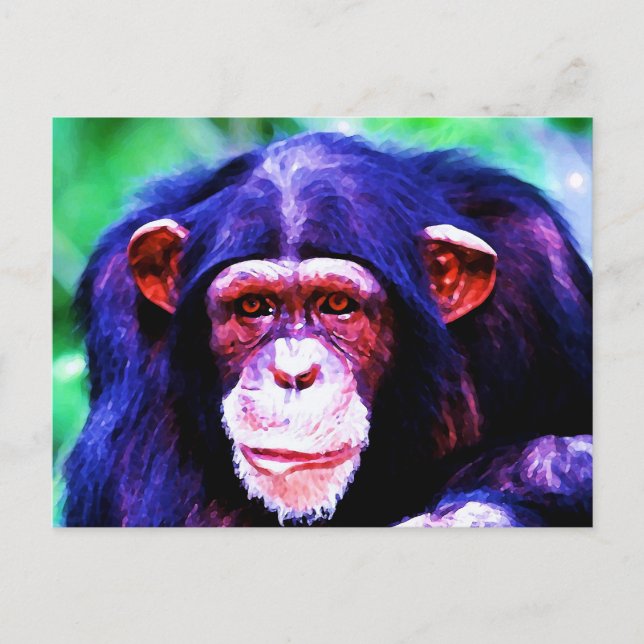 Cartão Postal Retrato de Chimpanzé (Frente)