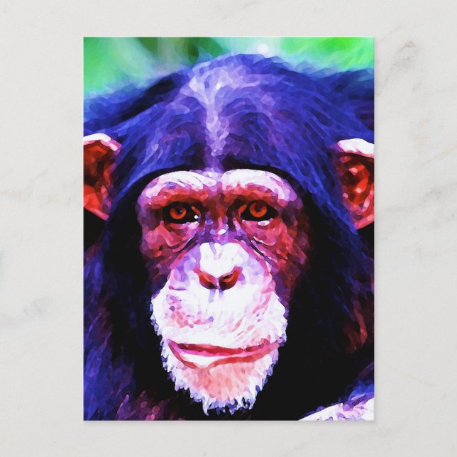 Cartão Postal Retrato de Chimpanzé (Frente)
