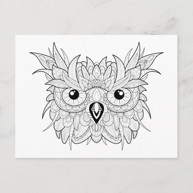 Cartão Postal Retrato de Coruja Fofa Doodle (Frente)