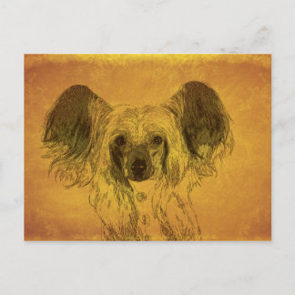 Cartão Postal retrato de Crista Chinês, amarelo