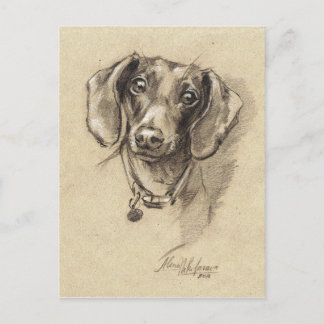 Cartão Postal Retrato de Dachshund