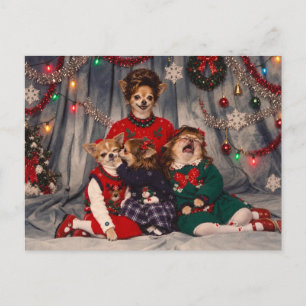 Cartão Postal Retrato de Família Caótico de Natal com Chihuahua 