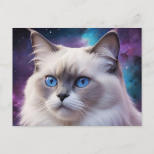 Cartão Postal Retrato de Gato Birman Celestial