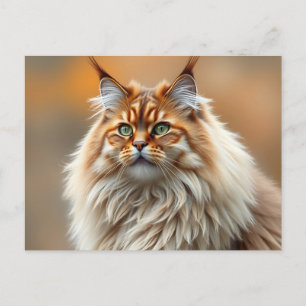 Cartão Postal Retrato de Gato Florestal Norueguês Fluffy