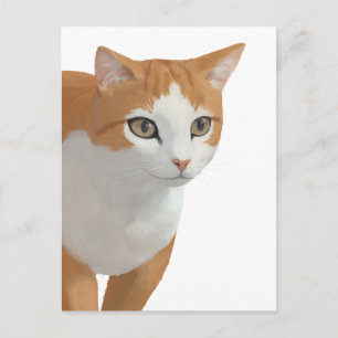 Cartão Postal Retrato de Gato Laranja e Branco