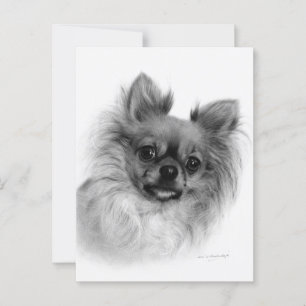 Cartão Postal Retrato De Óleo Chihuahua Pintado À Mão