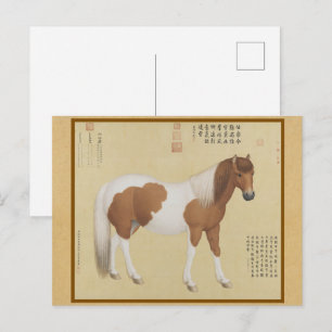 Cartão Postal Retrato de Pônei Pinto - Arte Chinesa Fina Vintage