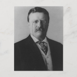 Cartão Postal Retrato de Theodore Roosevelt