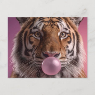 Cartão Postal Retrato de Tigre de Bengala soprando Bubblegum Ros