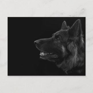 Cartão Postal Retrato de um cão german shepherd