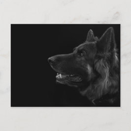 Cartão Postal Retrato de um cão german shepherd