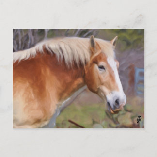 Cartão Postal Retrato de um Cavalo de Trabalho