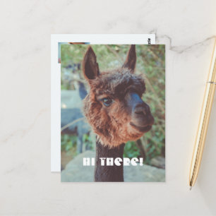 Cartão Postal Retrato de uma alpaca castanha