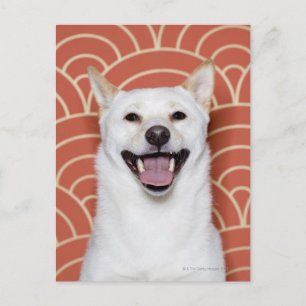 Cartão Postal Retrato do Cão 3