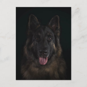 Cartão Postal Retrato do cão de german shepherd