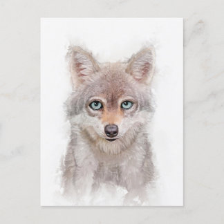 Cartão Postal Retrato do Cubo Lobo Bonito