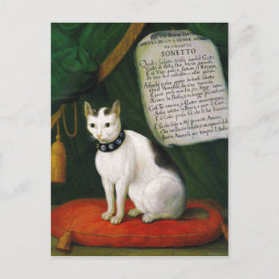 Cartão Postal Retrato do Gato Armellino