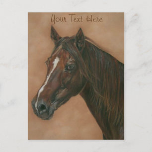 Cartão Postal retrato equino do cavalo marrom castanho