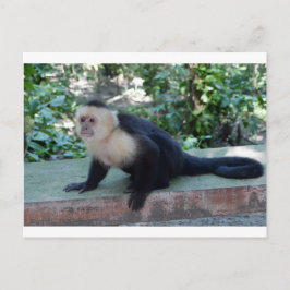 Cartão Postal Retrato.JPG