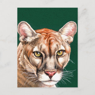 Cartão Postal Retrato Panther