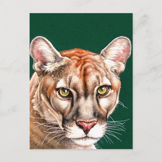 Cartão Postal Retrato Panther (Frente)