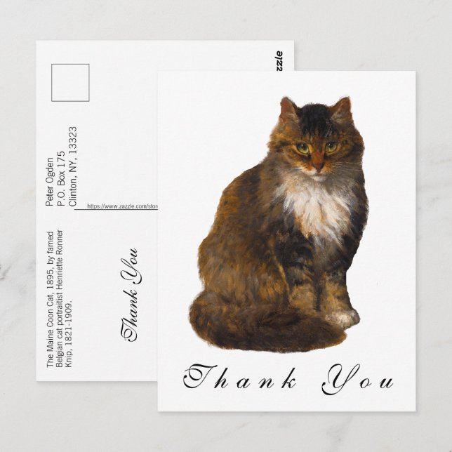 Cartão Postal Retrato Pintado de Gato Maine Coon Antigo Obrigado (Frente/Verso)