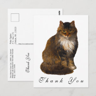 Cartão Postal Retrato Pintado de Gato Maine Coon Vintage Obrigad