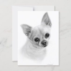Cartão Postal Retrato Realista Chihuahua - Pintura a Petróleo