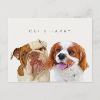 Cartão Postal Retratos personalizados para animais de estimação