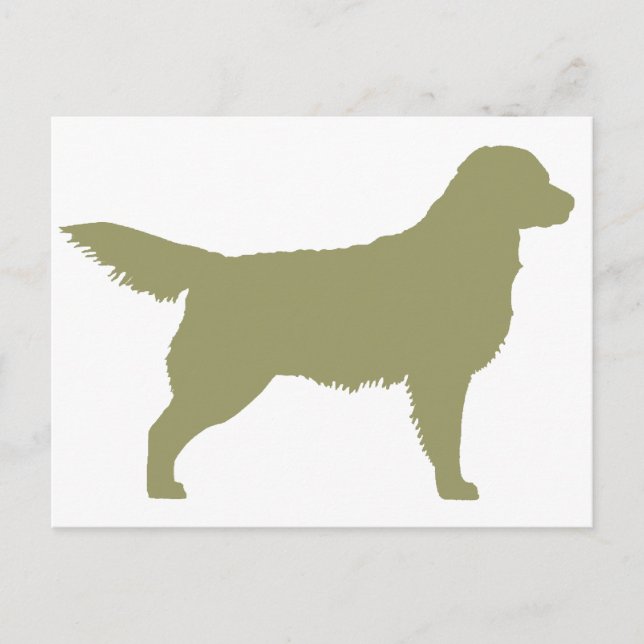 Cartão Postal Retriever de ouro (verde-sábio) (Frente)