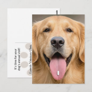 Cartão Postal Retriever Dourado com um Comprimido