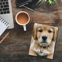 Retriever Dourado Pet Foto Personalizada de Aniver