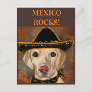Cartão Postal Retriever Labrador