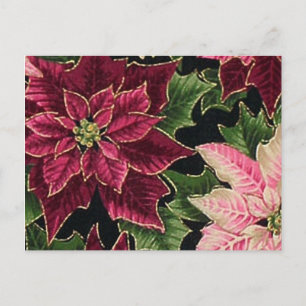 Cartão Postal Retro 50s Poinsettia Burgundy Rosa