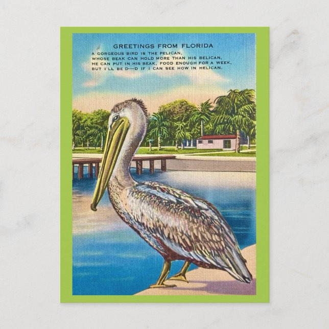Cartão postal retrô da Flórida  (Frente)