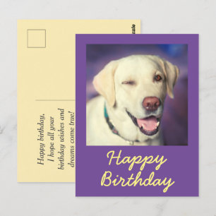 Cartão postal retrô de cachorro engraçado e aniver