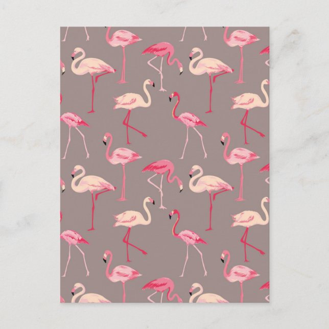Cartão Postal Retro Flamingos 2 (Frente)