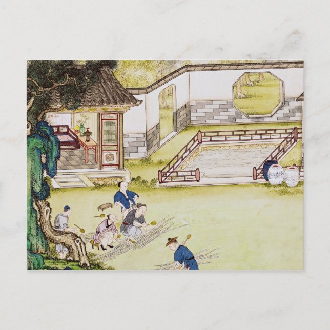 Cartão Postal Reunindo bambu para fazer papel (Frente)