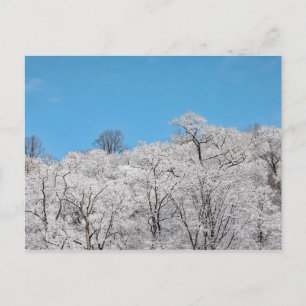 Cartão Postal Revestimento de neve