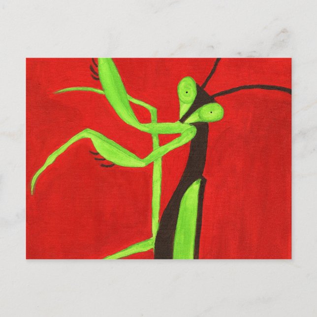 Cartão Postal Rezando Mantis (Frente)