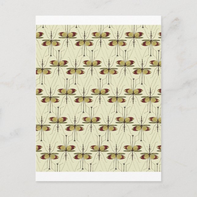 Cartão Postal Rezando Mantis (Frente)