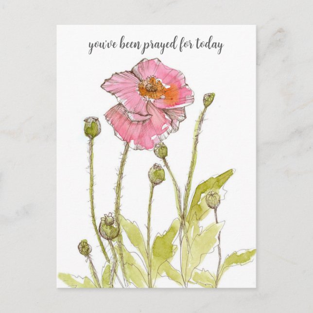 Cartão Postal Rezando Por Você Pólvoras Religiosas Rosa Flores (Frente)