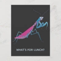 Rezando Texto Personalizado da Mantis