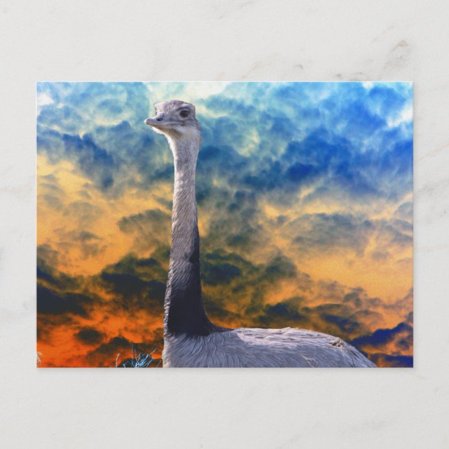 Cartão Postal Rhea no Red Stormy Sky (Frente)