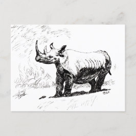CARTÃO POSTAL RHINO